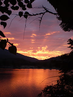 posta de sol, riu, incendis, fum, vermell, colorit, cel, bellesa a la natura, escenics - natura, silueta, aigua, núvol - cel, color taronja, arbre, tranquil·litat, llac, escena tranquil·la, naturalesa, planta, idíl·lic, escena no urbana, a l'aire lliure, platja, reflexió, 2K, CC0, domini públic, lliure de regalies