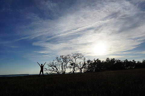 nature, landscape, panoramic, tree, sky, yoga, relax, sport, healthy, positive, cloud, pattern, horizon, panorama, scene, one person, lifestyles, land, silhouette, human arm, field, cloud - sky, arms raised, leisure activity, limb, sunlight, beauty in nature, scenics - nature, real people, arms outstretched, standing, plant, sun, freedom, outdoors, human limb, 5K, CC0, public domain, royalty free