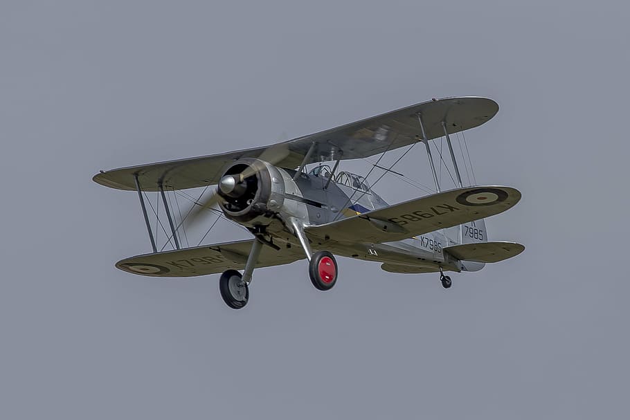 aviació, gloster, biplà, vehicle aeri, avió, volant, manera de transport, transport, militar, indústria aeroespacial, a l'aire, exèrcit, hèlix, avió militar, forces Armades, pilot, moviment, sol objecte, espectacle aeri, en moviment, pilotatge, avió de combat, govern, avió privat, 2K