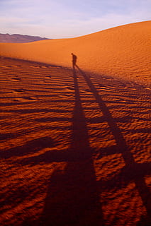ombra, persona, a piedi, deserto, shawdon, riflette, duna di sabbia, giorno, spiaggia, sabbia, duna, arancia, terra, natura, luce del sole, cielo, paesaggio, una persona, concentrarsi sull'ombra, scenics - natura, persone reali, lunga ombra - ombra, ambiente, bellezza nella natura, tramonto, persona irriconoscibile, scena non urbana, clima, clima arido, 4K, CC0, dominio pubblico, privo di copyright