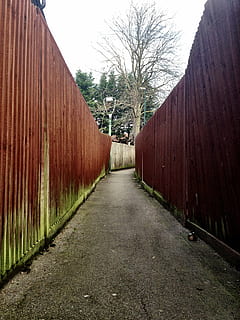 Camí, túnel, llum, passadís, entrada, passatge, paret, buit, sostre, passarel·la, tanca, urbà, carrer, Londres, vell, arbre, direcció, el camí a seguir, planta, arquitectura, arbre nu, perspectiva decreixent, estructura construïda, naturalesa, dia, cap gent, exterior de l'edifici, carretera, sendera, cel, a l'aire lliure, edifici, barrera, llarg, 2K, CC0, domini públic, lliure de regalies