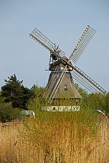 Moulin à vent, moulin, Basse-saxe, énergie renouvelable, éolienne, plante, énergie alternative, conservation de l'environnement, énergie éolienne, moulin à vent traditionnel, turbine, environnement, production de carburant et d'électricité, champ, la nature, terre, ciel, paysage, arbre, scène rurale, herbe, journée, personne, en plein air, 4K, CC0, domaine public, libre de droits