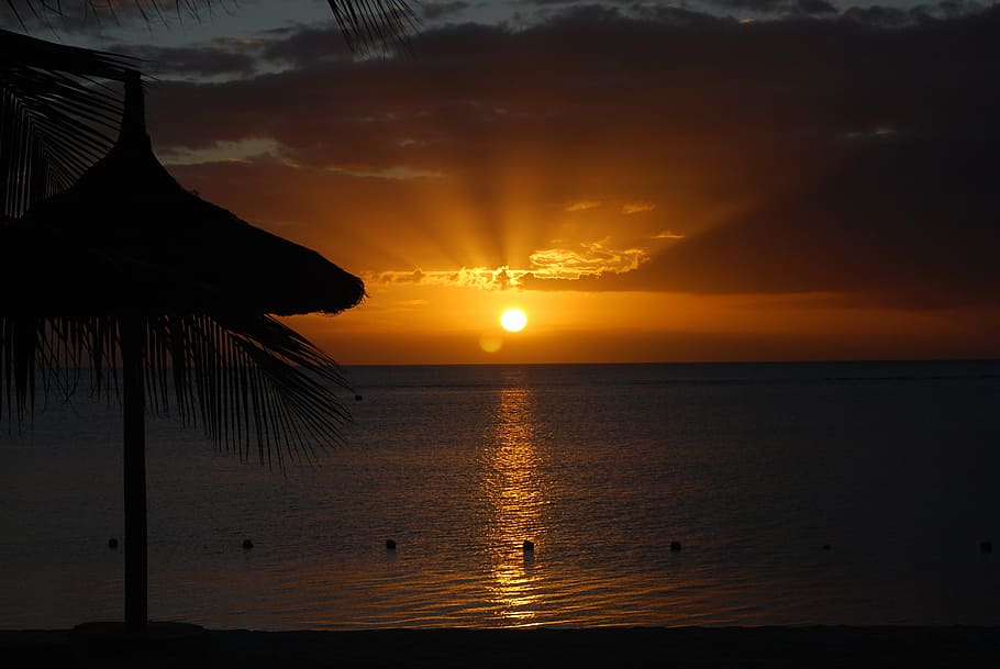 silhuet foto, kysten, grå, himmel, dagtimerne, solnedgang, sukker strand, mauritius, hav, strand, natur, sommer, ferier, sol, tropisk klima, skumring, kystlinje, sollys, vand, scenics - natur, skønhed i naturen, ro, rolig scene, orange farve, afspejling, idyllisk, sky - himmel, horisont over vand, silhuet, horisont, træ, ingen mennesker, udendørs, palmblad, 4K