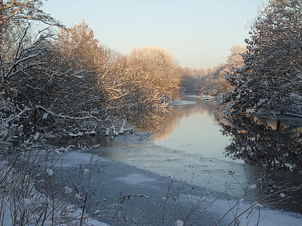 Winter, Winter, Winterzauber, eiskalt, Winter, Eis, kalt, Winterabend, romantisch, Frost, gefroren, Schnee, kalte Temperatur, Reflexion, Baum, Natur, Wasser, Pflanze, Schönheit in der Natur, Ruhe, ruhige Szene, Himmel, Szenen - Natur, keine Leute, See, Nicht-städtische Szene, Tag, Wachstum, draußen, 4K, CC0, gemeinfrei, lizenzfrei