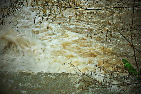Water, River, Movement, Bubble, Nature, no people, day, outdoors, tree, plant, motion, land, beauty in nature, forest, tranquility, flowing water, branch, scenics - nature, environment, waterfront, tranquil scene, high angle view, flowing, 1080P, CC0, public domain, royalty free