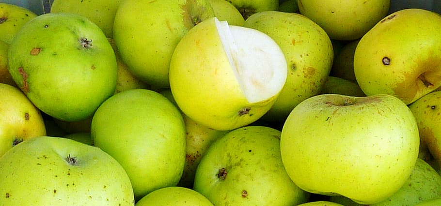 poma, pomera, arbres, fulles, boskop, collita, fruites, saludable, paisatge, llum, naturalesa, fruita, vermell, vermell copic, ombra, estiu, sol, vitamines, menjar, menjar i beguda, alimentació saludable, frescor, benestar, color verd, mercat, gran grup d'objectes, abundància, cap gent, venda al detall, marc complet, fons, fruita de mango, Paradeta, primer pla, a la venda, madur, grup d'objectes, 2K