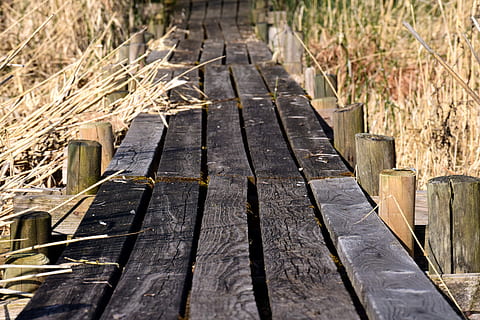 Netz, Bretter, Gras, Schilf, Weg, trocken, gehen, verwittert, Holz, Natur, Wald, Holz - Material, keine Leute, Tag, Sonnenlicht, draußen, alt, Brett, selektiver Fokus, High Angle View, Pflanze, Bank, Nahansicht, Land, Schatten, Fokus auf den Vordergrund, in einer Reihe, Sitz, 5K, CC0, gemeinfrei, lizenzfrei