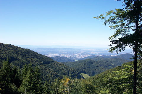 Alemania, paisaje, nubes, cielo, montañas, Valle, barranco, escénico, bosque, arboles, naturaleza, fuera de, verano, primavera, árbol, libertad, Pino, planta, paisajes - naturaleza, belleza en la naturaleza, montaña, escena tranquila, tranquilidad, color verde, escena no urbana, ambiente, idílico, cielo limpio, crecimiento, tierra, nadie, día, cordillera, al aire libre, árbol conífero, 1080P, CC0, dominio público, libre de derechos