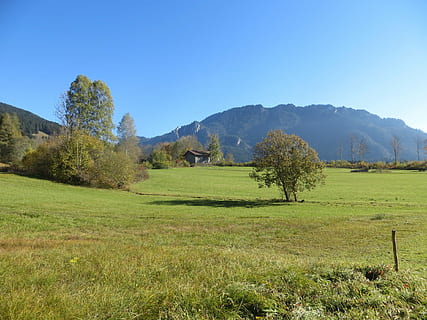 bjerge, eng, træ, alpine, plante, græs, himmel, rolig scene, landskab, miljø, ro, scenics - natur, Mark, skønhed i naturen, jord, bjerg, natur, grøn farve, dag, skyfri himmel, ingen mennesker, vækst, sollys, bjergkæde, udendørs, rullende landskab, 4K, CC0, offentligt domæne, royaltyfrie