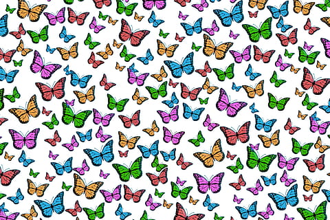 multicolored butterfly print, butterflies, colorful, pattern, texture, structure, background, wallpaper, color, ease, elated, swing, wellness, slightly, fly, quantitative, many, butterfly, wing, multi colored, large group of objects, full frame, still life, abundance, no people, backgrounds, indoors, directly above, creativity, choice, variation, high angle view, art and craft, shape, close-up, white color, arrangement, design, 5K, CC0, public domain, royalty free