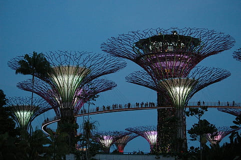 il giro, grigio, viola, struttura, notte, posto famoso, architettura, posizioni di viaggio, giardini vicino alla baia, destinazioni di viaggio, paesaggio urbano, scena urbana, architettura ed edifici, illuminato, crepuscolo, cielo, città, albero, Palma, nessuno, pianta, struttura costruita, natura, blu, cielo sereno, esterno dell'edificio, crescita, all'aperto, cultura artistica e intrattenimento, 1080P, CC0, dominio pubblico, privo di copyright