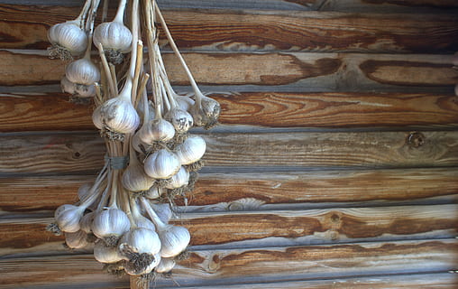 hvitløk, vegg, bakgrunn, klaring, trevegg, dekorative, vegghus, tre - materiale, ingen folk, innendørs, nærbilde, mat og Drikke, mønster, mat, henger, rå mat, dag, ingrediens, brun, grønnsak, planke, krydder, tre, stilleben, velvære, høy vinkel visning, 4K, CC0, offentlig domene, opphavsrett gratis