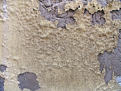 background, wall, plaster, texture, concrete, stone, color, structure, area, old, grey, masonry, full frame, backgrounds, textured, no people, wall - building feature, day, built structure, weathered, pattern, close-up, damaged, architecture, rough, outdoors, nature, peeling off, bad condition, decline, deterioration, ruined, 2K, CC0, public domain, royalty free
