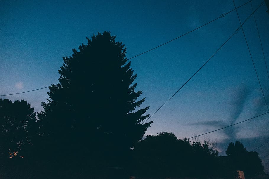 baix, foto d'angle, arbre, blau, cel, durant el dia, arbres, fosc, posta de sol, vespre, nit, tarda, silueta, naturalesa, línies elèctriques, cable, cap gent, a l'aire lliure, electricitat, planta, bellesa a la natura, vista d’angle baix, escenics - natura, creixement, escena tranquil·la, tranquil·litat, línia elèctrica, núvol - cel, idíl·lic, arbre de coníferes, 4K