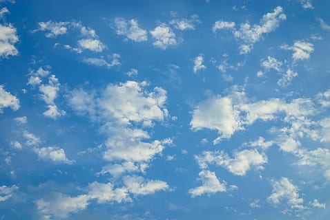 hvid, skyer, blå, himmel, dagtimerne, azurblå, Sky, lys, blå himmel, billedvisning, natur, luften, lyse, fred, tapeter, flyde, gruppen, røg, sprede, grå, sky - himmel, skønhed i naturen, lav vinkel visning, scenics - natur, ro, ingen mennesker, baggrunde, dag, rolig scene, idyllisk, udendørs, hvid farve, fuld ramme, sollys, miljø, cloudscape, ikke-urbane scene, meteorologi, 4K, CC0, offentligt domæne, royaltyfrie