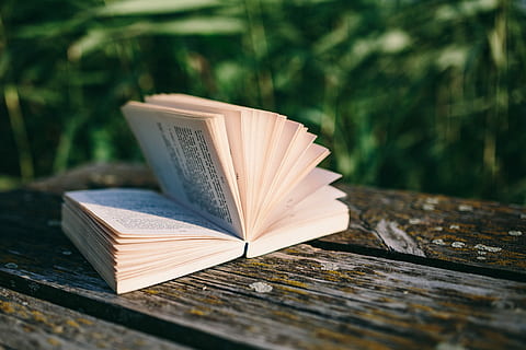lake, Reading book, summer, book, opened notebook, time, old pier, evening, magic hour, wooden pier, wooden boards, pier, literature, education, reading, learning, page, library, wisdom, textbook, open, hardcover Book, nature, novel, studying, bible, paper, university, no people, wood - material, outdoors, day, close-up, publication, selective focus, still life, focus on foreground, expertise, creativity, 4K, CC0, public domain, royalty free