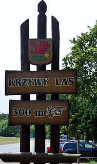 marca, pointer, direzione, foresta storta, krzywy las, Polonia, comunicazione, testo, albero, cartello, pianta, sceneggiatura occidentale, informazione, nessuno, guida, simbolo, natura, modo di trasporto, veicolo a motore, segno di informazione, strada, cielo, auto, mezzi di trasporto, Inquadratura dal basso, all'aperto, Messaggio, 1080P, CC0, dominio pubblico, privo di copyright