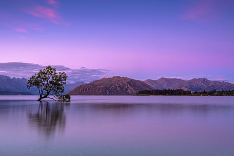 verd, arbre, cos, aigua, muntanya, muntanya alta, núvol, cel, cim, cresta, paisatge, naturalesa, vall, horitzó, planta, llac, posta de sol, reflexió, escenics, a l'aire lliure, bellesa a la natura, escenics - natura, tranquil·litat, mar, escena tranquil·la, cap gent, destinacions de viatge, medi ambient, nit, porpra, 5K, CC0, domini públic, lliure de regalies