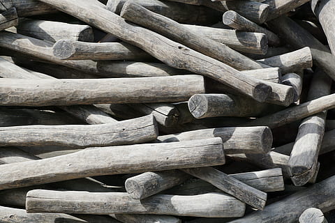 koksne, koks, cilts, žurnāls, koksne - materiāls, liela objektu grupa, malka, mežu izciršana, kaudze, mežs, pilna kadra, kokmateriālu nozare, nav cilvēku, fona, pārpilnība, modeli, dienā, raksturs, degvielas un enerģijas ražošana, ārā, sasmalcina, 5K, CC0, publiskais domēns, bez atlīdzības