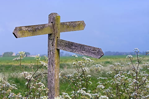 Brun, træ-, brev indretning, blå, himmel, brev, indretning, blå himmel, vejskilt, pointer, peger, landdistrikterne, landskabet, natur, udendørs, retning, smuk, engelsk, england, sussex, Foto, billede, fokus på forgrunden, græs, ingen mennesker, dag, kryds, religion, tro, plante, spiritualitet, Mark, symbol, jord, landskab, ro, blomst, vejledning, kryds form, 1080P, CC0, offentligt domæne, royaltyfrie