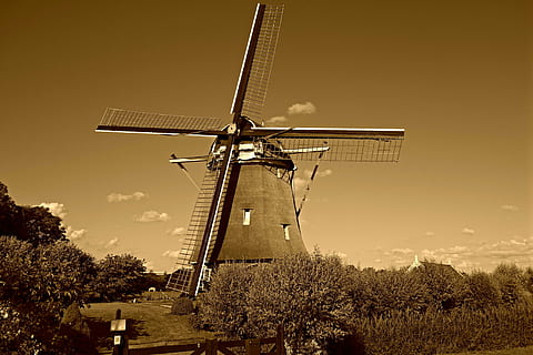 molino, molino de viento holandés, histórico, de zwaan, ouderkerk aan de amstel, Holanda, Países Bajos, naturaleza, cielo, energía eólica, turbina eólica, turbina, energía renovable, energía alternativa, conservación del medio ambiente, árbol, generación de combustible y energía, planta, molino de viento tradicional, vista de ángulo bajo, ambiente, nadie, escena rural, paisaje, tecnología, arquitectura, al aire libre, 4K, CC0, dominio público, libre de derechos