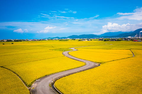 countryside, farm, field, landscape, outdoors, road, rural, scenic, sky, scenics - nature, environment, agriculture, beauty in nature, tranquility, tranquil scene, cloud - sky, nature, land, rural scene, plant, day, yellow, no people, idyllic, 5K, CC0, public domain, royalty free