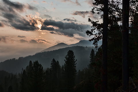 Silhouette, hoch, Bäume, Berg, Wolken, kalt, Nadelbaum, Dämmerung, Tageslicht, fallen, Nebel, nebelig, Wald, Landschaft, Natur, Naturtapete, draußen, szenisch, Jahreszeit, Himmel, Sonnenuntergang, Reise, Wetter, Winter, Holz, Baum, Schönheit in der Natur, Szenen - Natur, Pflanze, wolke - himmel, ruhige Szene, Ruhe, Nicht-städtische Szene, keine Leute, Land, Umgebung, idyllisch, Wachstum, Gebirge, Kiefer, Kiefernwald, 5K