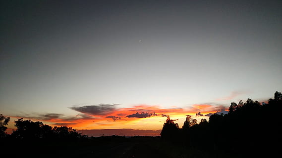 alba, eventide, posta de sol, cel, silueta, arbre, bellesa a la natura, escena tranquil·la, planta, escenics - natura, tranquil·litat, núvol - cel, naturalesa, cap gent, escena no urbana, color taronja, medi ambient, paisatge, idíl·lic, a l'aire lliure, creixement, espai, astronomia, 2K, CC0, domini públic, lliure de regalies