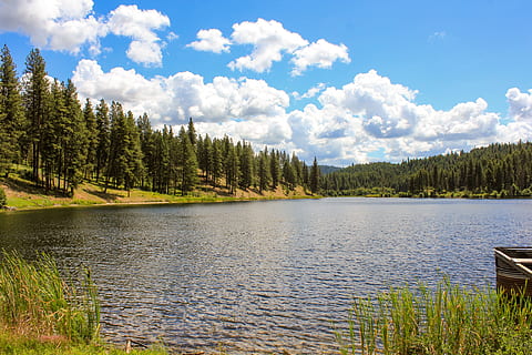 llac, vista, pins, núvols, naturalesa, llac, vista, aigua, paisatge, cel, turisme, viatjar, muntanya, vacances, blau, assolellat, escènic, tranquil, a l'aire lliure, rural, escena, bosc, natural, parc, refugi de fauna silvestre petit pend oreille, refugi de vida silvestre, Washington, nosaltres, escenics, arbre, estiu, color verd, bellesa a la natura, Canadà, escena tranquil·la, cap gent, àrea salvatge, núvol - cel, reflexió, imatge en color, riu, escena no urbana, Serra, pi, planta, tranquil·litat, escenics - natura, dia, creixement, idíl·lic, remot, arbre de coníferes, 5K, CC0, domini públic, lliure de regalies