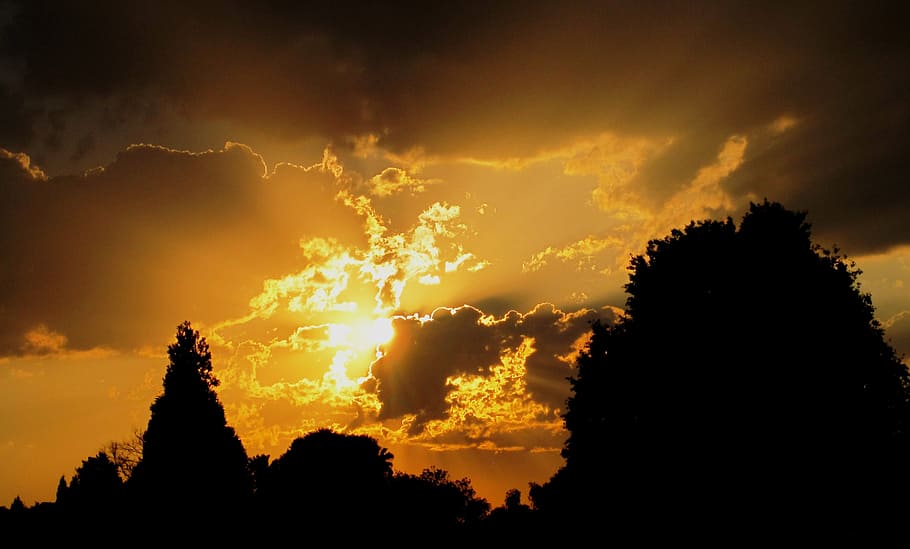 posta de sol, sol, blanc, llum, or, lluminós, brillant, groc, gloriosa, arbres, siluetes, arbre, planta, silueta, cel, núvol - cel, bellesa a la natura, naturalesa, cap gent, escenics - natura, color taronja, tranquil·litat, vista d’angle baix, creixement, cel dramàtic, escena tranquil·la, a l'aire lliure, fosc, religió, 2K