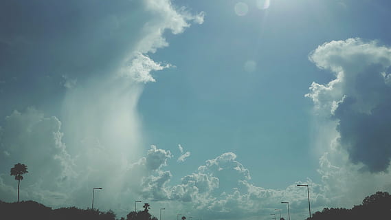 white, blue, cloudy, skies, clear, sky, trees, nature, plants, clouds, sunny, sunlight, cloud - sky, no people, day, outdoors, architecture, beauty in nature, sunbeam, environment, low angle view, scenics - nature, tranquility, building exterior, sun, built structure, ominous, pollution, power in nature, 4K, CC0, public domain, royalty free