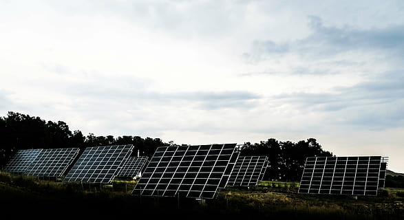 paneles solares negros, solar, paneles, cielo, nubes, arboles, energía, granja, energía solar, nadie, panel solar, árbol, día, al aire libre, naturaleza, conservación del medio ambiente, tecnología, ambiente, nube - cielo, planta, energía renovable, generación de combustible y energía, energía alternativa, Dom, electricidad, arquitectura, cuestiones ambientales, fuente de alimentación, 4K, CC0, dominio público, libre de derechos