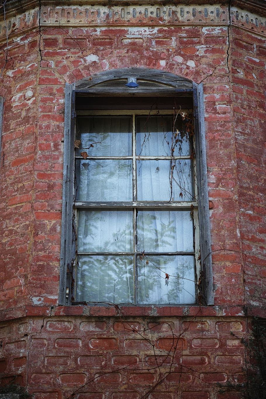 finestra de vidre, negre, fusta, marc, finestra, maó, vell, retro, l'oblidat, gall dindi, Istanbul, cortina, arquitectura, obres històriques, paret, antic, carrer, vell mur, cases, ciutat, viatjar, data, ruïnes, tancat, la soledat, edifici antic, edifici, edificis, estructura construïda, exterior de l'edifici, paret de maó, cap gent, dia, casa, funció de construcció de parets, a l'aire lliure, resistent, seguretat, entrada, barri residencial, porta, deteriorament, vidre, marc de finestra, arruïnat, 4K