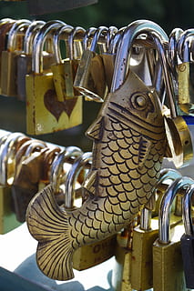 iubesc încuietori, lacăte, memorie, romantic, dragoste, amintire, peşte, simbol, eternitate, dragoste eterna, pod, metal, Securitate, agăţat, Siguranță, protecţie, nici o persoana, blocare, zi, a închide, lacăt, să se concentreze asupra primelor elemente, grup mare de obiecte, consecutiv, selectiv, în aer liber, abundenţă, lumina soarelui, alegere, model, balustradă, argintiu colorat, 5K, CC0, domeniu public, fără drepturi de autor
