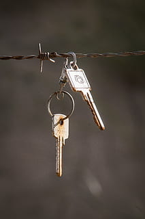 anahtar, dikenli tel, pas, bulunan nesne, anahtarlar, asılı, insansız, açık havada, gün, kapatmak, ön plana odaklanmak, Emniyet, metal, koruma, güvenlik, olumlu duygu, doğa, umut - kavram, Metin, Güneş ışığı, paslı, tel, dal, asma kilit, 4K, CC0, kamu malı, telif ücretsiz