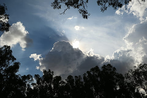 sol, núvols, cel, núvols de cel, blau, estiu, temps, llum solar, núvol, cels, bigues, raigs, núvols de cel blau, naturalesa, núvol - cel, a l'aire lliure, arbre, planta, bellesa a la natura, vista d’angle baix, tranquil·litat, creixement, cap gent, escenics - natura, escena tranquil·la, dia, silueta, escena no urbana, idíl·lic, raig de sol, arbre d’arbre, copa de l'arbre, 5K, CC0, domini públic, lliure de regalies