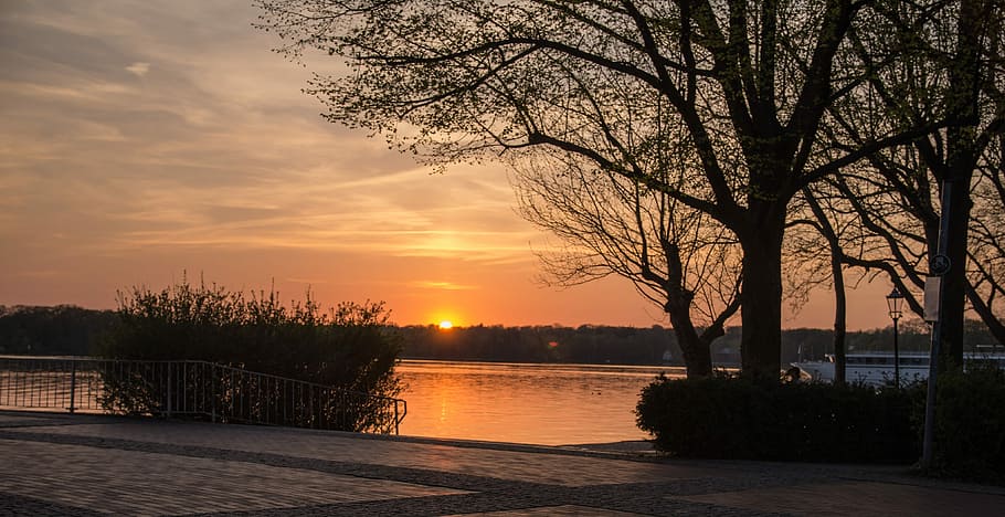 Baum, Natur, Sonnenuntergang, Dämmerung, Frühling, Himmel, Landschaft, Wasser, abendstimmung, Wolken, Stimmung, himmelröte, Schönheit in der Natur, Pflanze, wolke - himmel, Ruhe, ruhige Szene, Szenen - Natur, See, Silhouette, Reflexion, keine Leute, orange Farbe, Sonne, idyllisch, draußen, romantischer Himmel, 4K
