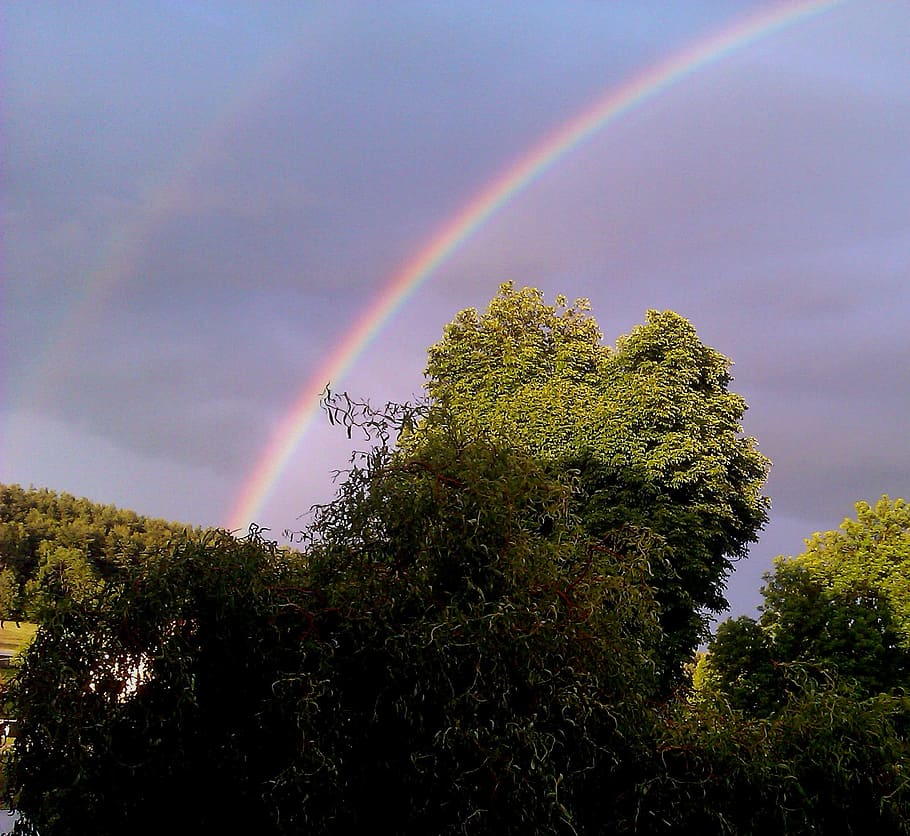 Regenbogen, Bäume, Himmel, Frühling, doppelter Regenbogen, Baum, mehrfarbig, keine Leute, Brechung, Schönheit in der Natur, Pflanze, Natur, wolke - himmel, Wachstum, Szenen - Natur, Ruhe, ruhige Szene, Tag, Flachwinkelansicht, Land, idyllisch, draußen, 1080P