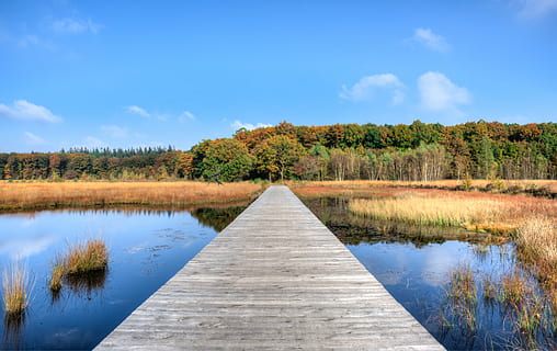 luz do dia, outono, floresta, molhe, lago, panorama, natureza, ao ar livre, parque, reflexão, rio, cênico, céu, verão, viagem, arvores, agua, plantar, tranquilidade, árvore, cena tranquila, beleza na natureza, o caminho a seguir, scenics - natureza, madeira - material, ninguém, direção, cena não urbana, dia, nuvem - céu, idílico, Perspectiva Diminutiva, 5K, CC0, domínio público, royalty free