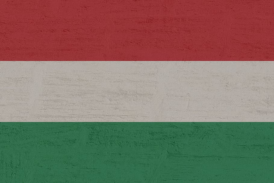 Hongria, bandera, fons, funció de construcció de parets, arquitectura, estructura construïda, cap gent, textura, marc complet, color verd, primer pla, vermell, patró, Color blanc, a l'interior, pintat, pintura, còpia espai, paret, multicolor, art i artesania, concret, 1080P