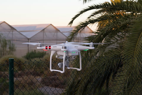 dar, technologie, vlucht, erkenning, toezicht, spion, geen mensen, boom, camera - fotografische apparatuur, palmboom, veiligheid, natuur, luchtvoertuig, futuristische, architectuur, focus op de voorgrond, vervoer, fotografie thema's, hemel, buitenkant van het gebouw, ingebouwde structuur, buitenshuis, vliegend, 5K, CC0, publiek domein, royaltyvrij
