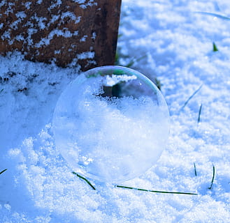 Seifenblase, Blase, Ball, Schnee, Winter, kalte Temperatur, Natur, keine Leute, Nahansicht, Tag, Kugel, transparent, gefroren, draußen, Glas - Material, Fokus auf den Vordergrund, Land, Geometrische Figur, High Angle View, Baum, weiße Farbe, Feld, 1080P, CC0, gemeinfrei, lizenzfrei