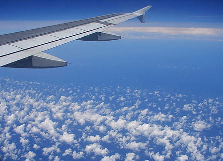 グレー, 飛行機の翼, 空気, 飛行機, 翼, 空, 雲, 航空機, フライト, 飛行, 休日, 休暇, 空中, 航空, ジェット, 旅客機, 飛ぶ, 輸送, 離陸, 航空機の翼, 交通手段, 雲 - 空, 空撮, 青, 旅行, 自然, 中空, 民間航空機, 無人, cloudscape, 日, 屋外, ハイアップ, 環境, 航空宇宙産業, 上に, 720P, CC0, パブリックドメイン, ロイヤリティフリー