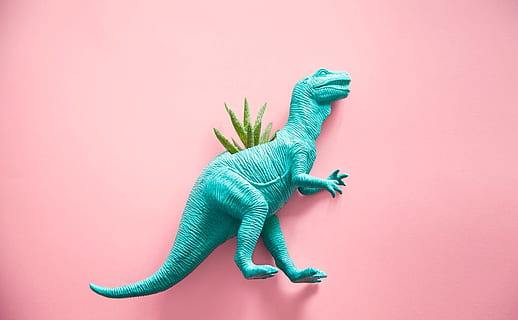 ティールプラスチックt-rex置物, ティール, プラスチック, t-rex, 置物, 恐竜, カクタス, 多肉植物, 爬虫類, 動物, トカゲ, ドラゴン, 自然, 野生動物, おもちゃ, 色付きの背景, スタジオ撮影, 緑色, 無人, 一匹の動物, 動物のテーマ, 屋内で, 動物の表現, 脊椎動物, 動物の野生動物, 切り取る, ピンクの背景, 表現, コピースペース, 全長, 動物スケール, イグアナ, 1080P, CC0, パブリックドメイン, ロイヤリティフリー