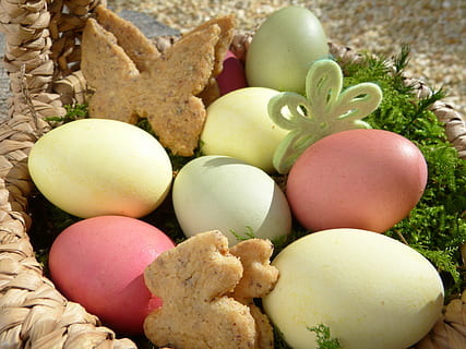 uovo a colori assortiti, Marrone, cesto di vimini, nido di Pasqua, uova di Pasqua, biscotti, biscotto, coniglietto di Pasqua, farfalle, muschio, luce del sole, su, Pasqua, uovo, primavera, buona Pasqua, decorazione, auguri di Pasqua, osterkorb, natura, colorato, bio, salutare, regalo, famiglia, bambini, in cerca di uova di Pasqua, uovo di Pasqua, culture, celebrazione, cibo e bevande, vacanza - evento, cibo, nessuno, in casa, vacanza, avvicinamento, natura morta, freschezza, multicolore, mangiare sano, vista dall'alto, scelta, grande gruppo di oggetti, 4K, CC0, dominio pubblico, privo di copyright