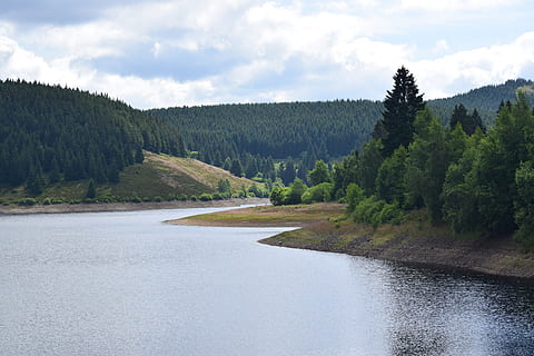 dam, eckertal, tree, plant, beauty in nature, cloud - sky, scenics - nature, sky, water, tranquil scene, growth, nature, tranquility, no people, non-urban scene, day, mountain, forest, river, green color, waterfront, pine tree, flowing water, 5K, CC0, public domain, royalty free