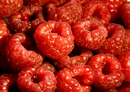 raspberry, fruit, pie, raspberry cake, fruits, food, food and drink, red, healthy eating, wellbeing, full frame, freshness, berry fruit, backgrounds, large group of objects, close-up, no people, abundance, ripe, still life, juicy, organic, strawberry, vegetarian food, 2K, CC0, public domain, royalty free