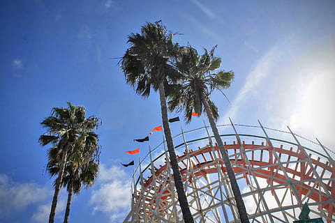 white, orange, roller coaster, daytime, four, green, palm, tree, blue, sky, clouds, plant, ladder, bridge, flags, adventure, palm tree, ferris wheel, amusement park, low angle view, cloud - sky, arts culture and entertainment, amusement park ride, rollercoaster, tropical climate, nature, carnival, traveling carnival, day, fun, outdoors, no people, excitement, riding, festival, coconut palm tree, 4K