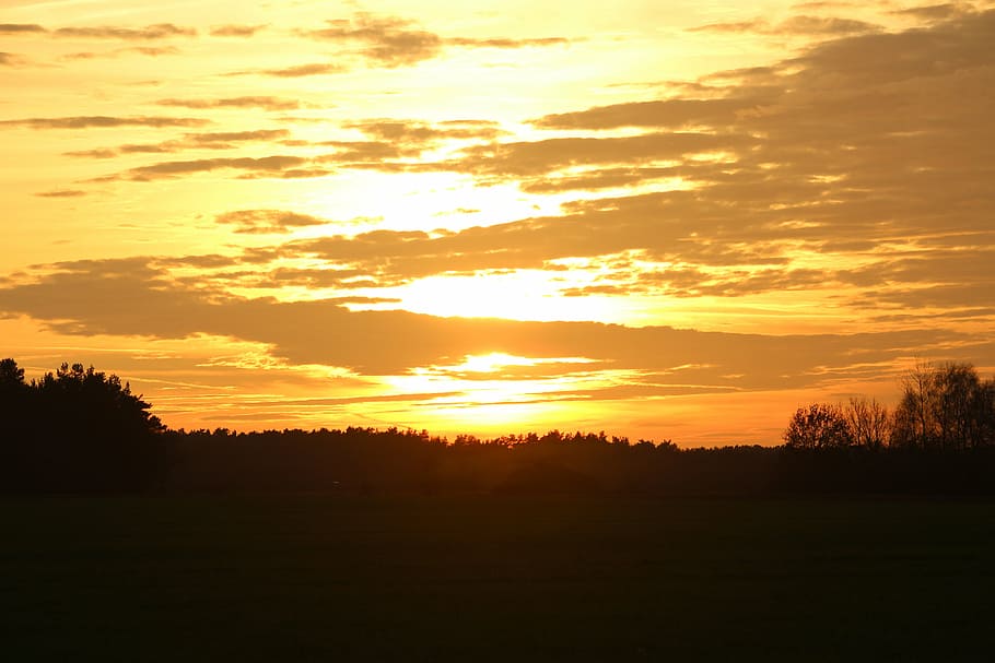 sol, posta de sol, cel de la nit, bosc, camp, abendstimmung, cel, Sol ponent, núvols, resplendor, paisatge, bellesa a la natura, tranquil·litat, escenics - natura, escena tranquil·la, silueta, color taronja, arbre, planta, medi ambient, idíl·lic, cap gent, núvol - cel, terra, naturalesa, escena no urbana, llum solar, a l'aire lliure, 5K