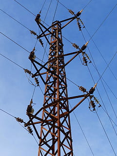 elektrisk, tårn, gammel, elektrisk tårn, rusten, elektriske kabler, sammensurium, elektricitet, kabel, strømkabel, el-pylon, himmel, teknologi, blå, meddelelse, brændstof og elproduktion, industri, Strømforsyning, strøm, udstyr, stål, pol, forbindelse, lav vinkel visning, dag, natur, kompleksitet, metal, ingen mennesker, bygget struktur, udendørs, arkitektur, høj - høj, elektrisk udstyr, jern - metal, elnettet, telefonlinje, elektrisk komponent, 2K, CC0, offentligt domæne, royaltyfrie